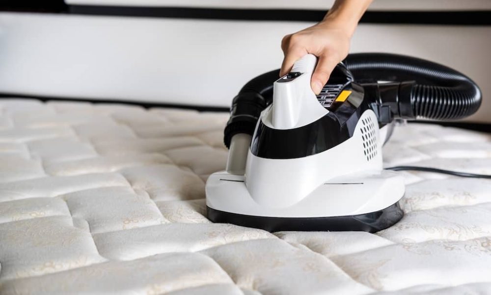 mite-vacuum-cleaner-cleaning-bed-mattress-dust-eli-2023-11-27-04-55-27-utc-2