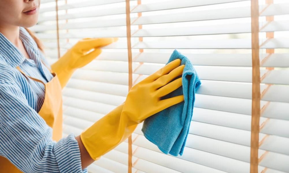 woman-cleaning-house-wiping-dust-2023-11-27-05-14-19-utc-2